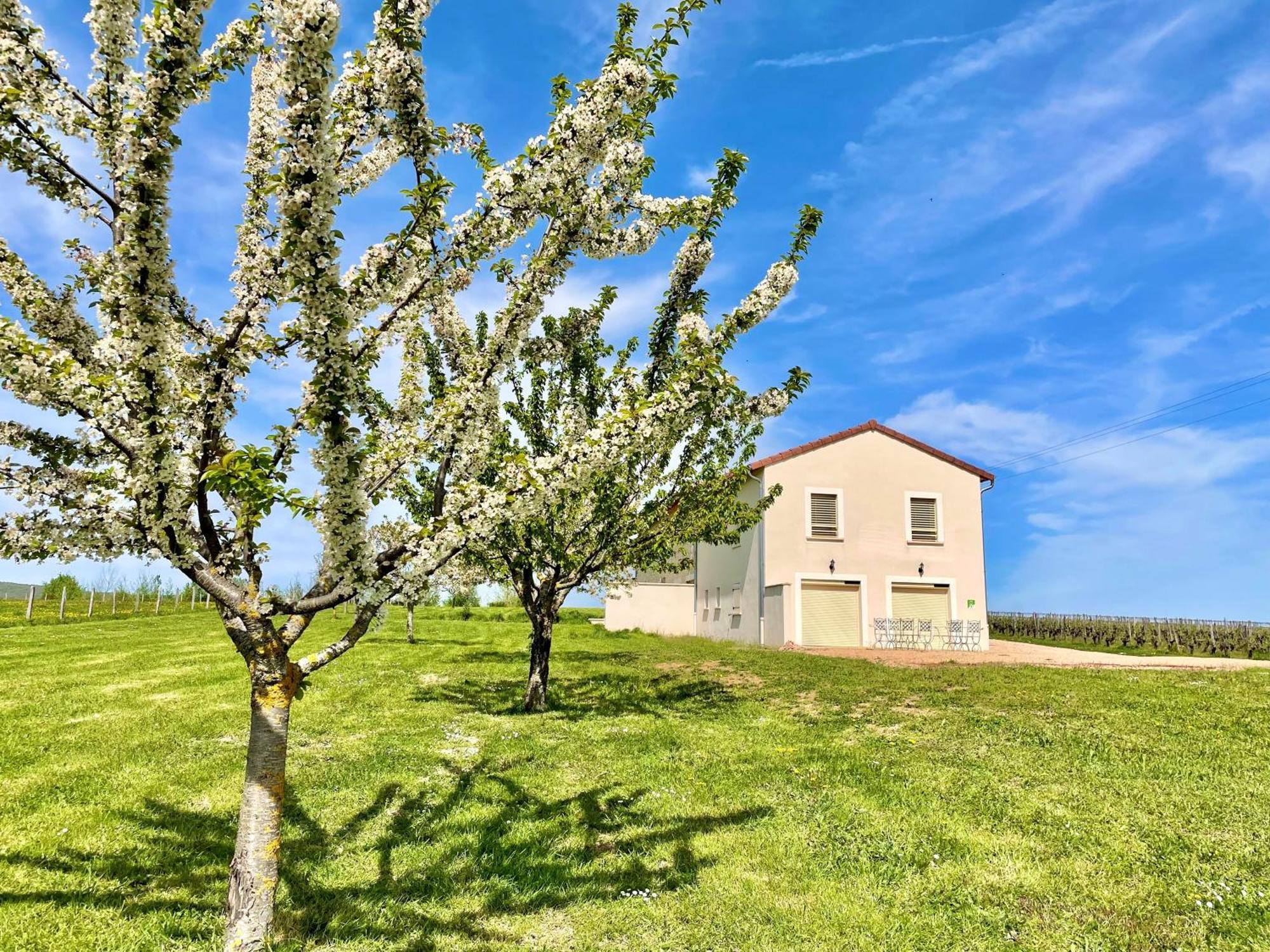 Domaine Joseph Lafarge Wine Resort Winemaker House La Maison Du Negociant Lugny Exterior foto